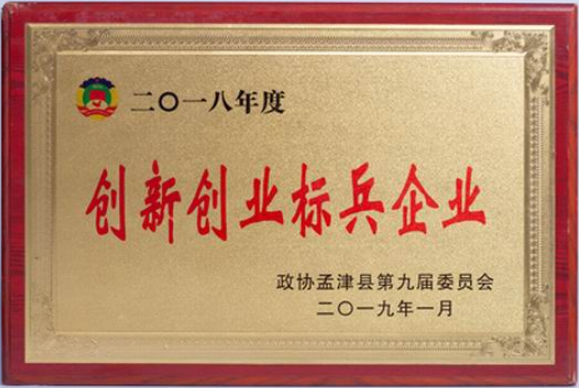 創(chuàng  )新標兵企業(yè)